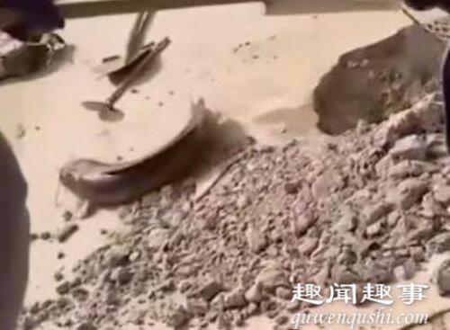 广东一居民楼下水道频频传出异响 挖开水泥地众人直呼意外