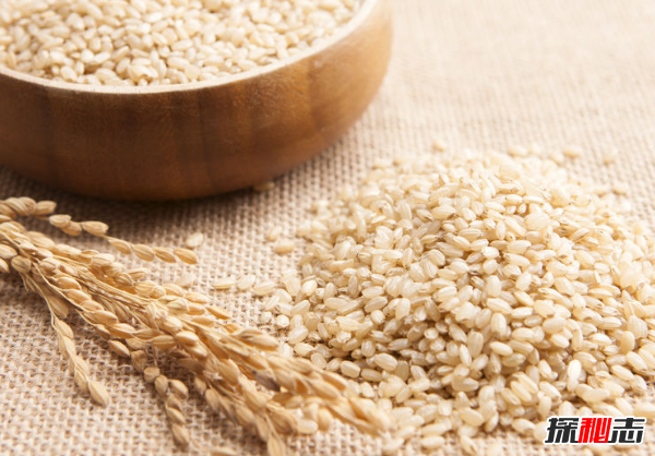 糙米是什么米?糙米的十大功效与作用