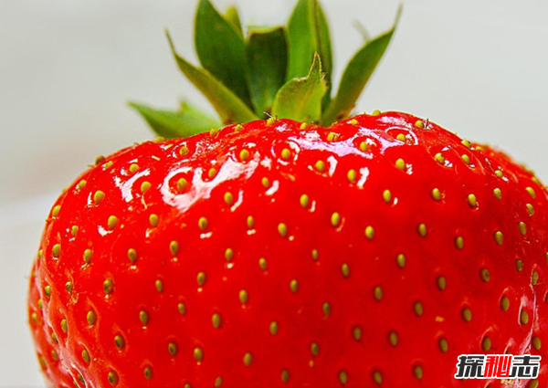 吃草莓有哪些好处?草莓的十大作用与功效