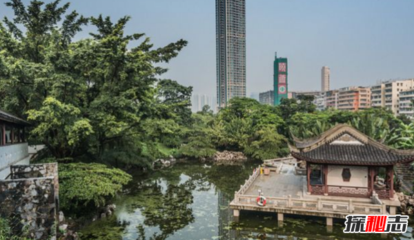 香港哪里好玩?香港旅游必知的10件事情