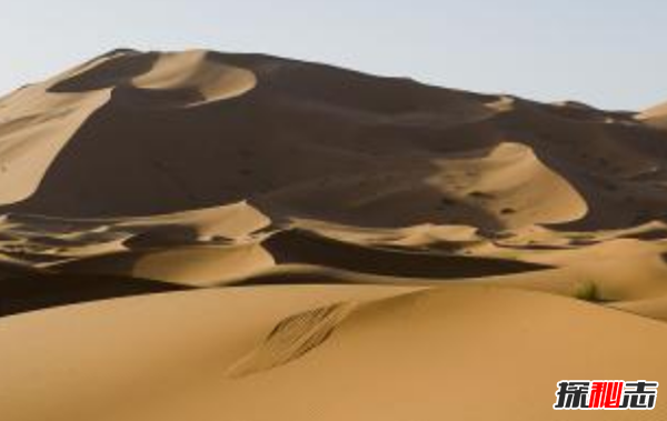 关于撒哈拉沙漠的10大故事,复活植物无水存活100多年