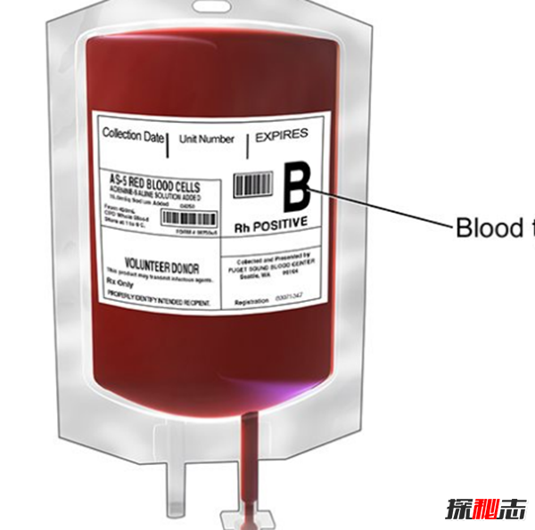 哪种血型最好?关于血型的18大真实信息