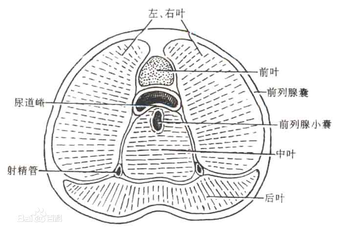 四大不死癌症，不死的癌症是什么病？