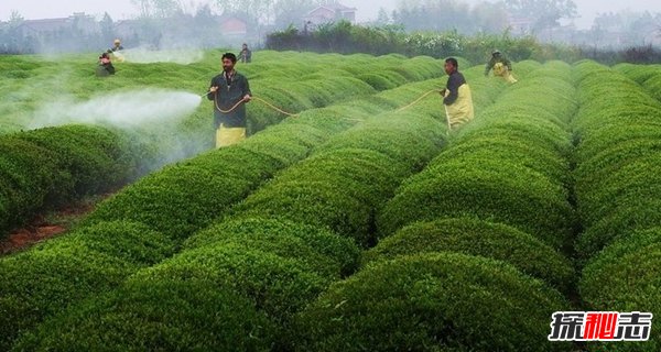 哪个国家的用水最多?盘点世界上用水最多的十大国家