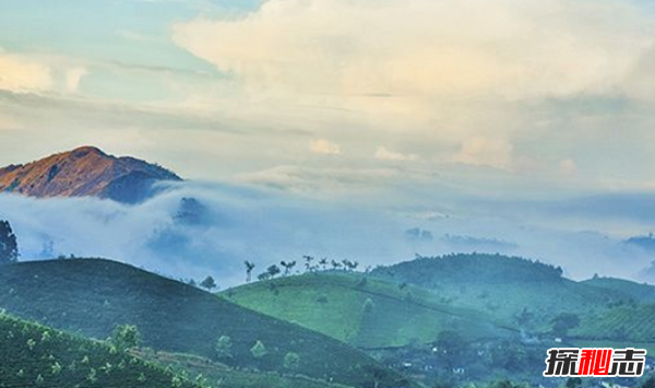 世界上茶叶生产十大国,印度有超10亿饮茶者(70%国内消费)