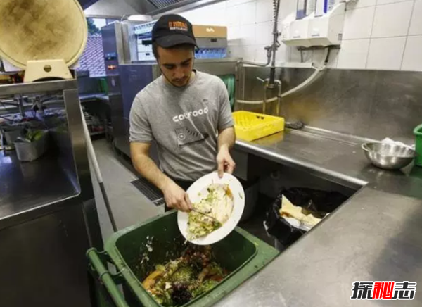 最浪费食物的十大国家,丹麦近70万吨食物被浪费