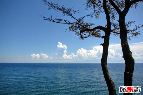 哪个国家海岸线最长?十大海岸线最长的国家