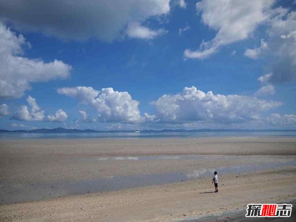 哪个国家海岸线最长?十大海岸线最长的国家