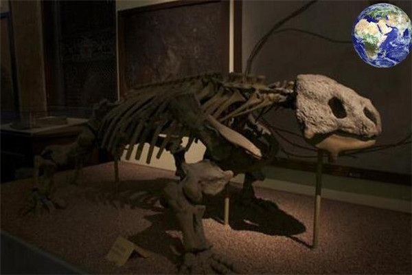 科罗拉多斯龙：阿根廷生存的肉食恐龙（蜥脚类恐龙）