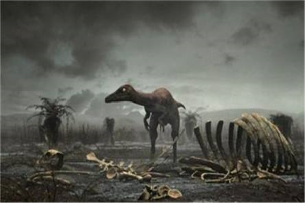 恐龙灭绝事件：发生在6500万年之前（突然灭绝）
