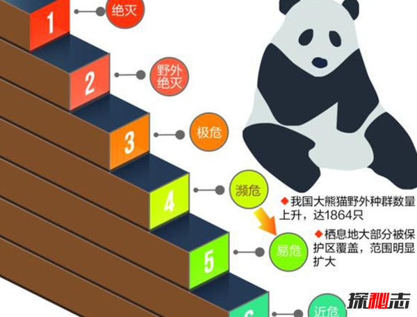 全球最濒危的10大动物 第七不到100只,第十鳞片极为珍贵