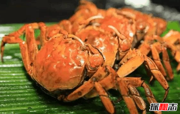 螃蟹哪些部位不能吃?螃蟹的12大有趣之处