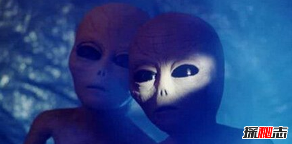 外星人长什么样子?ufo事件十大真相揭秘(附图)