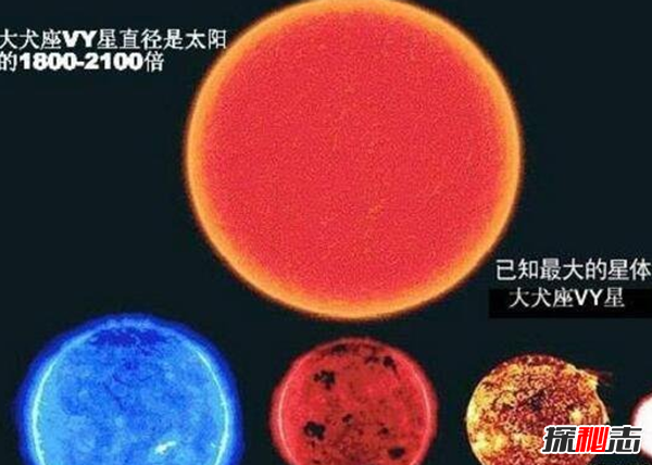 宇宙最大星球十大排名,红超巨星WOH G64处星球末期(预2000后爆炸)