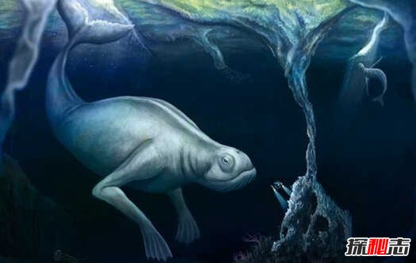 海底发现30米巨人,谷歌地图上竟可以找到这个巨人