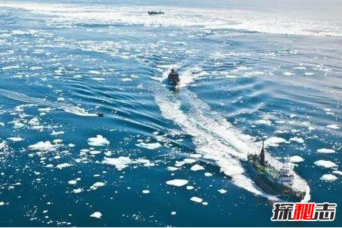 日捕鲸船,南极“人形海怪”之谜(意味着什么)