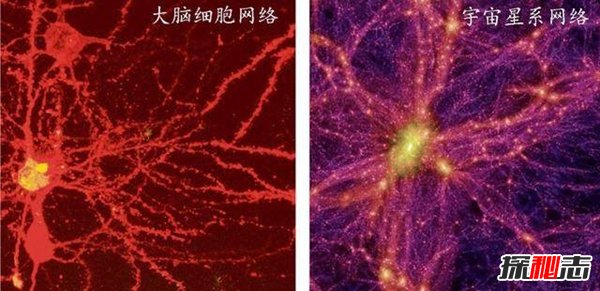 宇宙其实是人的大脑，人脑结构竟与宇宙结构极其的相似