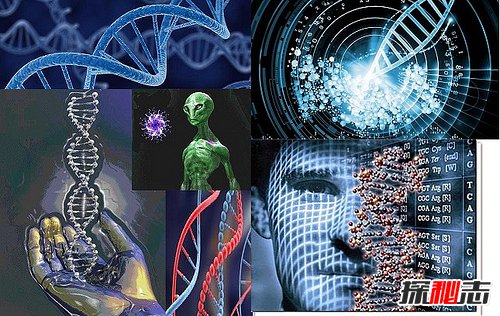 科学家称人类dna被外星人设计！编写DNA的程序员是谁？