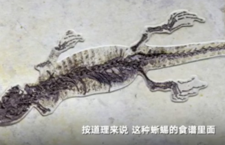 一亿年前的蜥蜴喜欢吃小龙虾？小龙虾是什么时候出现的？