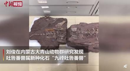 中国发现2.5亿年前九峰吐鲁番兽 “九峰吐鲁番兽”长啥样？