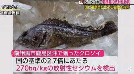 日本禁止福岛黑鲉鱼上市 到底是什么情况？
