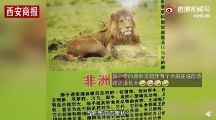 男子在动物园狮笼里发现一只金毛 这什么迷惑行为?