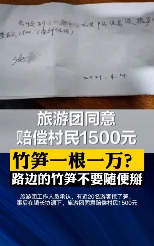 游客私挖当地村民竹笋被索赔事件后续：旅行团赔偿村民1500元