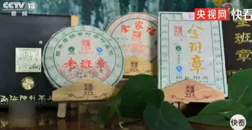 西双版纳布朗山乡出现大规模毁林种茶现象：林地遭到严重毁坏