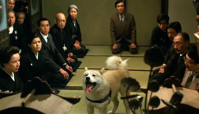 关于狗狗的电影有哪些：以狗为题材的电影推荐
