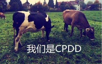 网络语cpdd是什么梗：cpdd下一句是什么怎么接吗？