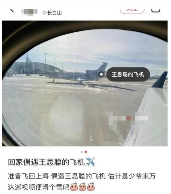 33岁王思聪过生日 私人飞机接送